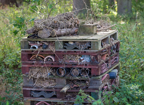 How to make a bug home