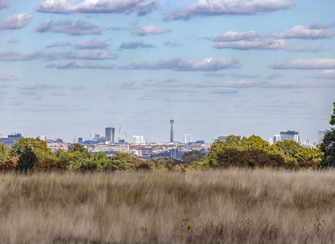 London skyline