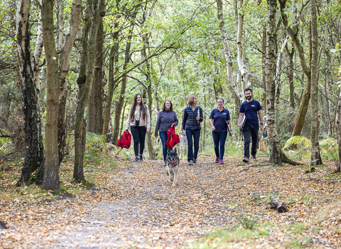 The SWT Ecology Services Team